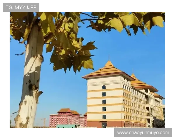 重庆羽毛球队崛起之路:从默默无闻到世锦赛舞台的辉煌历程 重庆羽毛球队崛起之路:从默默无闻到世锦赛舞台的辉煌历程